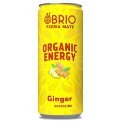 BRIO MATE Organic Energy Drink Ginger 250ml - Pack of 6