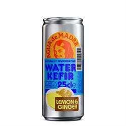 Agua de Madre Lemon & Ginger Water Kefir 250ml Can - Pack of 2