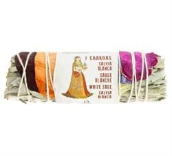 7-Chakra California White Sage Smudging Bundle - Pack of 6