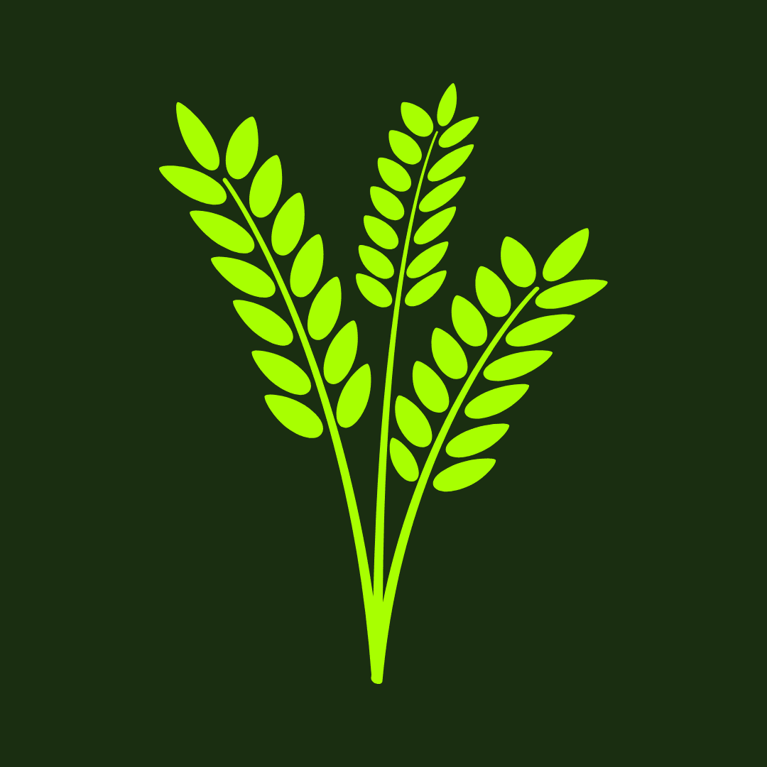 Cereal, Beans & Pulses