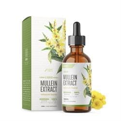 Alpha01 Mullein Extract Tincture 2000mg 60ml